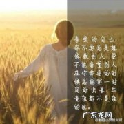 全是你的句子 全是你