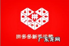 拼多多店铺引流有哪些方法？具体操作步骤是什么？