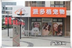 附近的宠物美容店在哪里 宠物美容店加盟