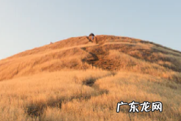 抖音订单怎么导单?抖音小店有什么优势?