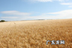 抖音怎么添加推广商品？有哪些步骤？