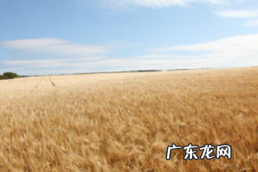 抖音怎么添加推广商品?有哪些步骤?