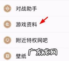 掌上英雄联盟如何查看装备,最新版掌盟怎么看装备资料？