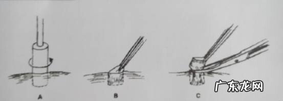 宠物皮肤病之试验室检测法