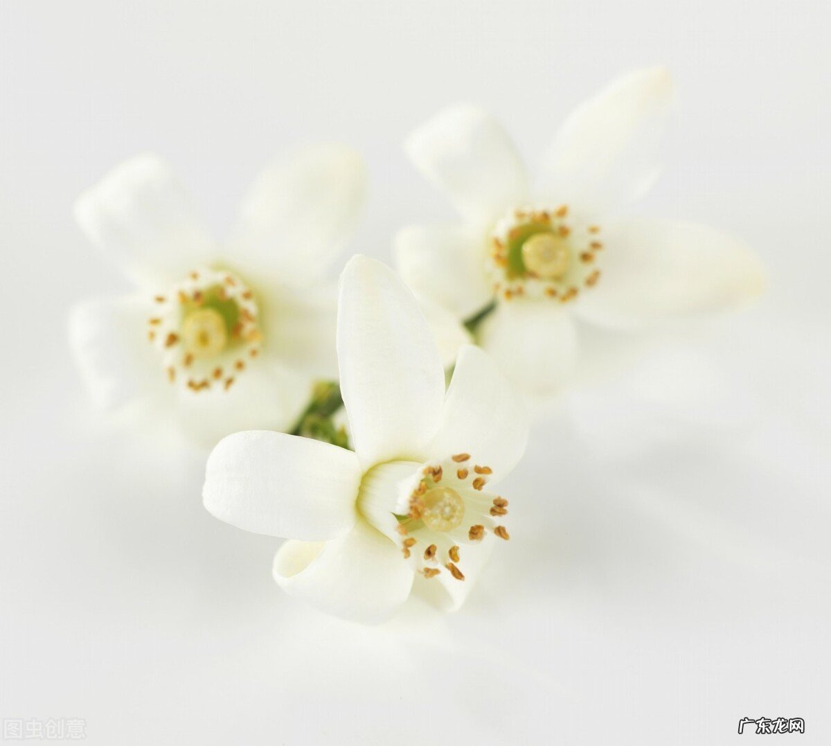 卷发棒伤头发吗?卷发棒可以每天用吗?