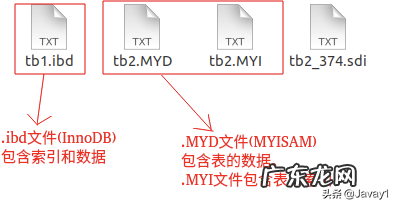 索引在目录的前面还是后面 索引与目录有什么区别