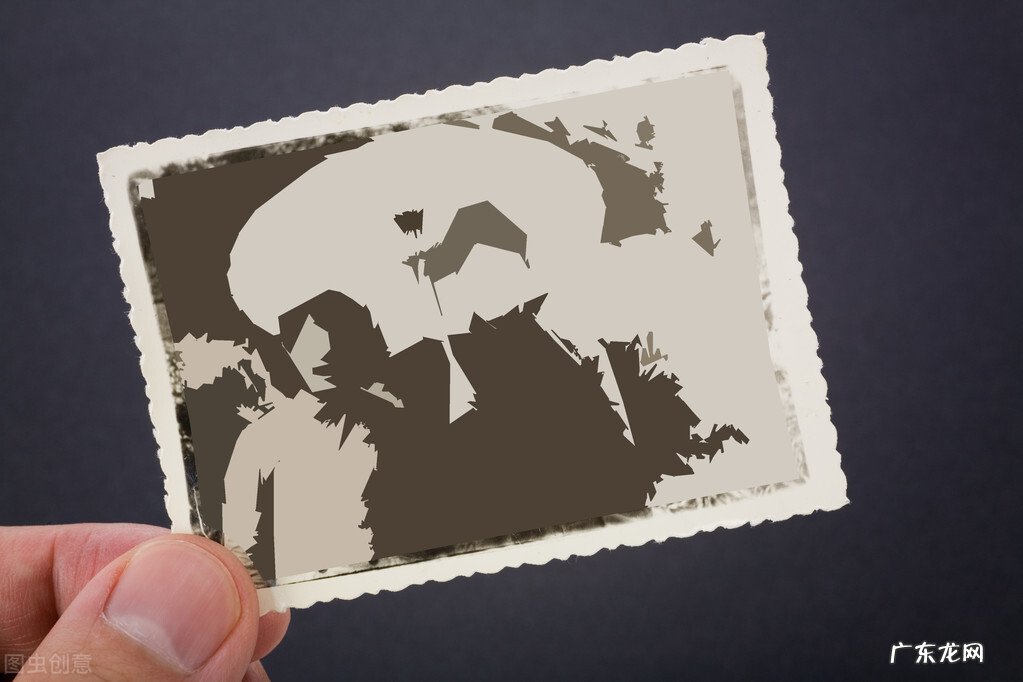 4个宝藏照片管理app推荐 照片管理的软件哪个好