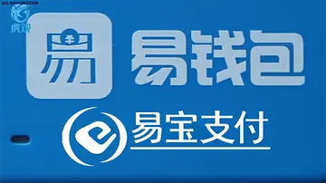 易宝支付是什么平台?有什么特点?