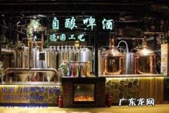 家用啤酒机 家庭自酿啤酒