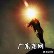 汤臣倍健健力多和旭福move free哪个好