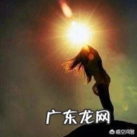 汤臣倍健健力多和旭福move free哪个好