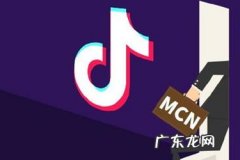 抖音MCN机构是什么意思？它的主要功能是什么？
