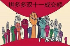 拼多多双11成交多少？具体情况分析