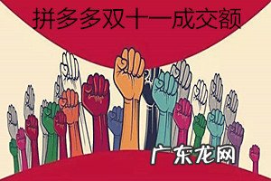 拼多多双11成交多少?具体情况分析