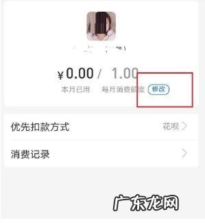 支付宝亲情卡怎么改额度,支付宝亲情卡额度可以提高吗?