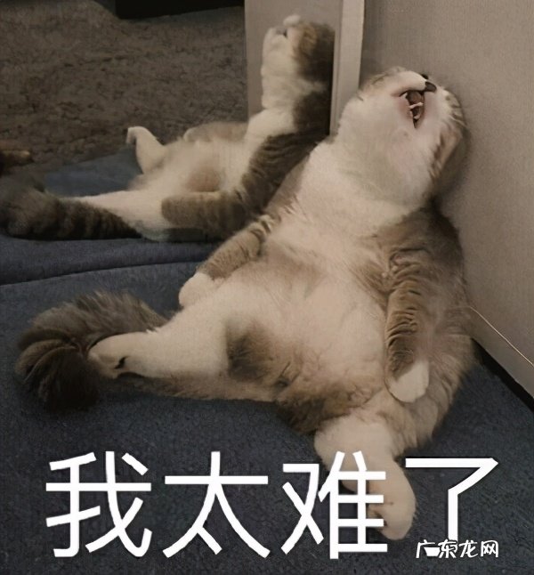 老人买什么保险最划算？投保思路全分享