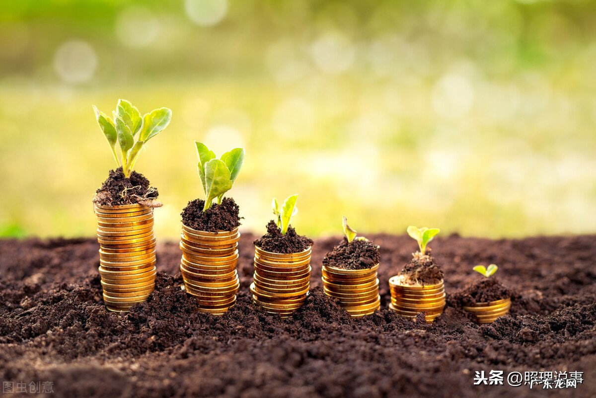 年轻人如何理财能赚到钱?教你从基础开始攒钱!