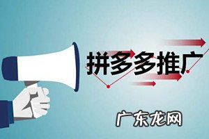 拼多多推广计划怎么修改点击价格?拼多多如何做推广?