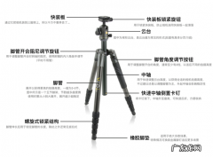 三脚架自拍杆的使用方法 单反三脚架怎么固定相机
