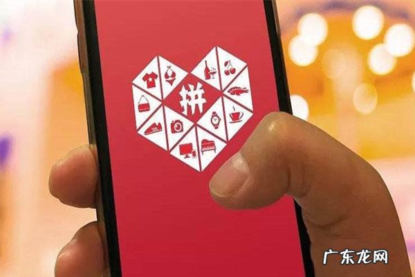 折800和拼多多哪个好？是同类网站吗？