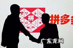 拼多多旗舰店和专营店的区别是什么？具体区别介绍
