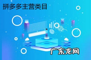 拼多多主营类目有哪些？拼多多哪个类目赚的钱多？