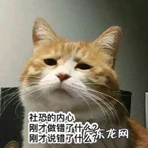 盘点2021年的几个网络流行语 凡尔赛是什么意思