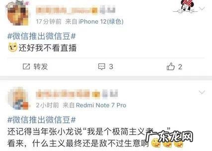 微信豆有什么作用？微信直播桃花岛多少钱一个？