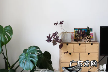 极速推转化怎么样?有什么优点?