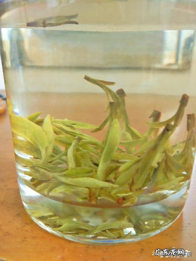 为什么现在的白领宁愿喝20元1杯的奶茶,也不愿喝健康的茶叶?