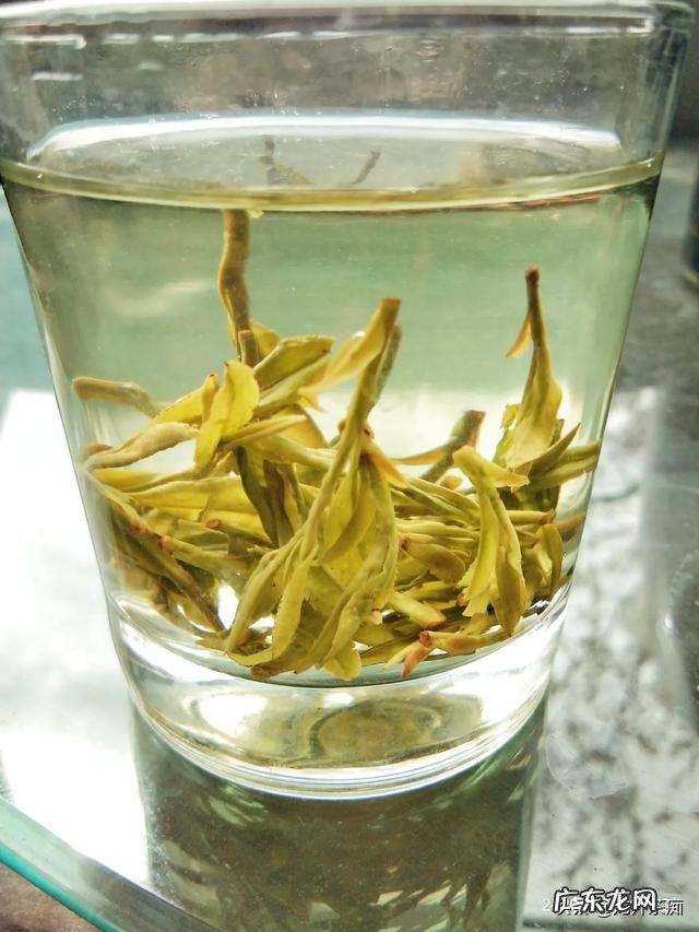 为什么现在的白领宁愿喝20元1杯的奶茶,也不愿喝健康的茶叶?