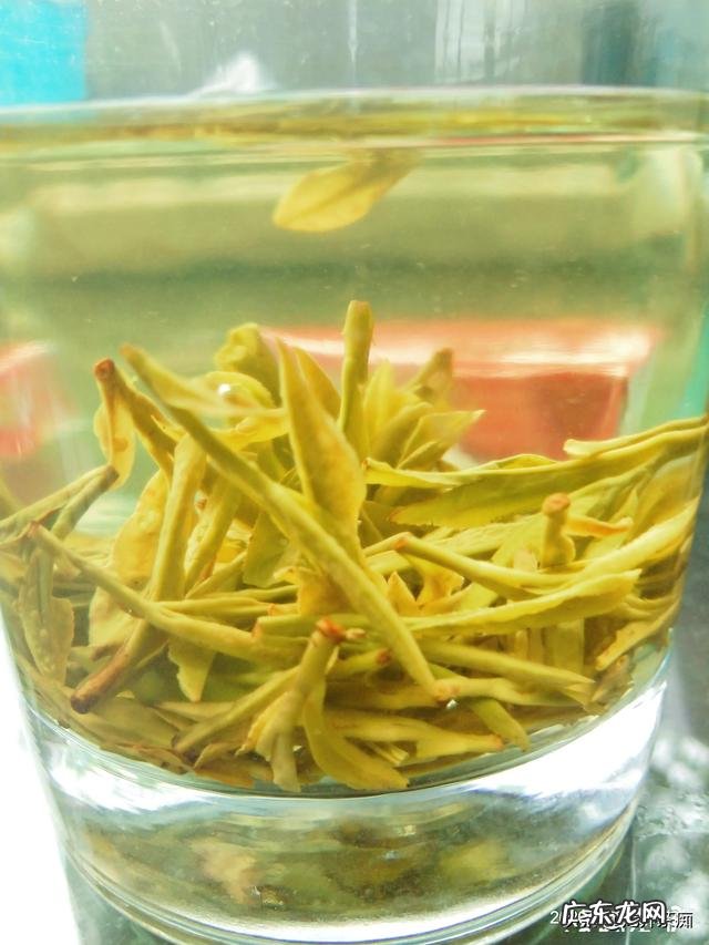 为什么现在的白领宁愿喝20元1杯的奶茶,也不愿喝健康的茶叶?