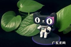 天猫小黑盒招商规则是什么？