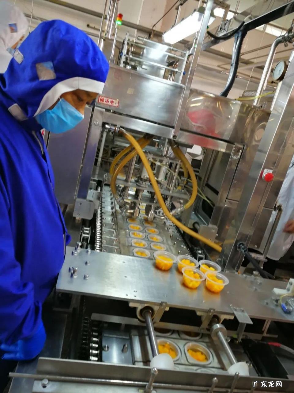 haccp是什么意思？haccp是什么的简称？