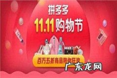 拼多多双11活动规则是什么？双十一购物券什么时候用？