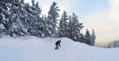 单板滑雪初学者必看攻略 单板滑雪技巧都有什么
