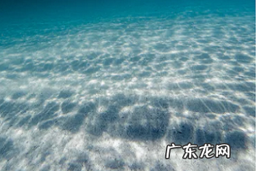 拼多多平台介入率多少算高?处理要多久?