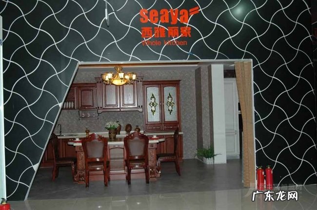 西雅丽家橱柜加盟介绍 石家庄定制橱窗品牌哪个好