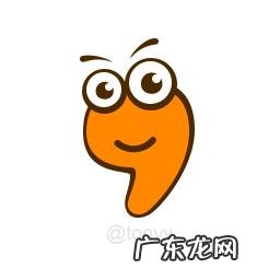 给猫咪驱完虫,该注意什么?