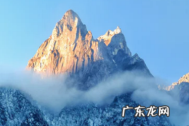 拼多多平台介入率怎么降下来?有哪些影响?