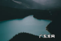 拼多多商品评分低于多少会降权？如何处理呢？