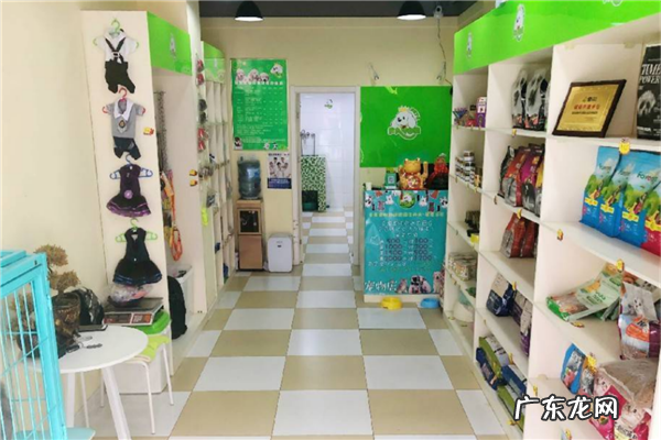 宠物店加盟10大品牌排行榜 宠物用品加盟哪个好
