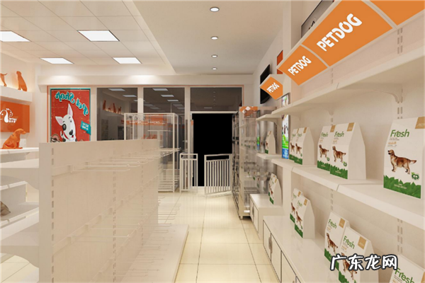 宠物店加盟10大品牌排行榜 宠物用品加盟哪个好