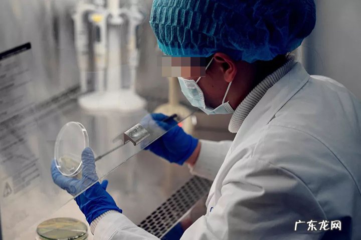 婴儿奶粉选择攻略 婴儿奶粉选择注意事项有哪些