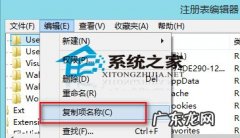 怎样复制幻灯片 Win8如何快速复制注册表编辑器某个项的完整地址
