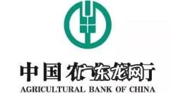 中国农业银行app点击没反应怎么办中国农业银行app无法打开解决步骤介绍,中国农业银行对账流程?