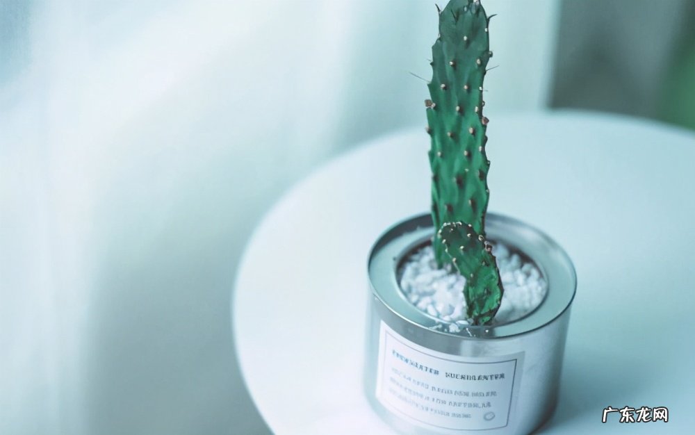 犹太人为什么聪明?有什么原因?