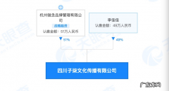 李子柒公司起诉微念