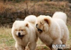 倒睫不医治是否会至死