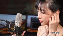 手机直播声卡品牌排行榜 手机直播声卡价格